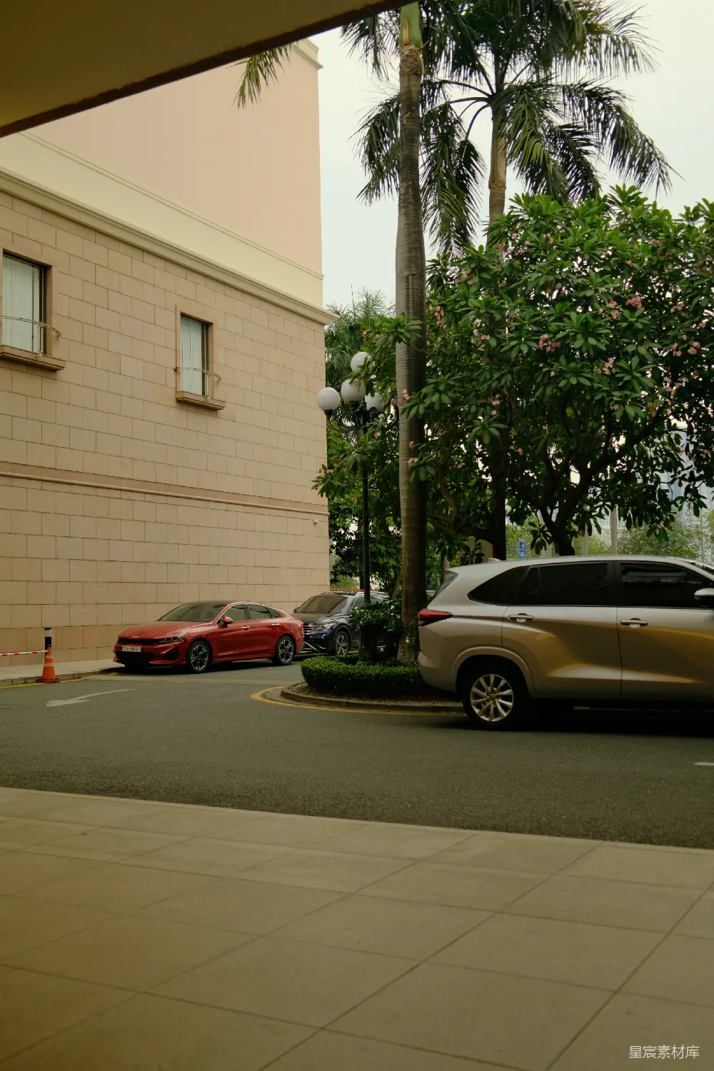 近现代建筑旁停着几辆汽车，周围有棕榈树。