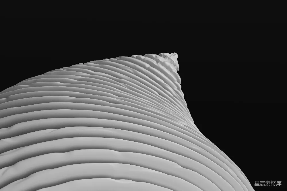 高清摄影  一张黑白照片，显示一个弯曲的物体。
