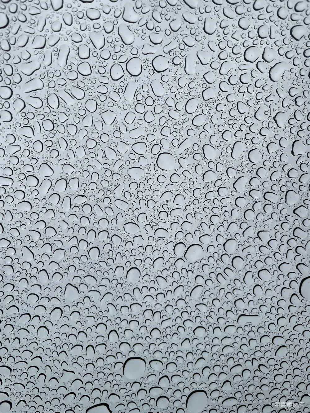 高清摄影 壁纸 一扇窗户上水珠的特写