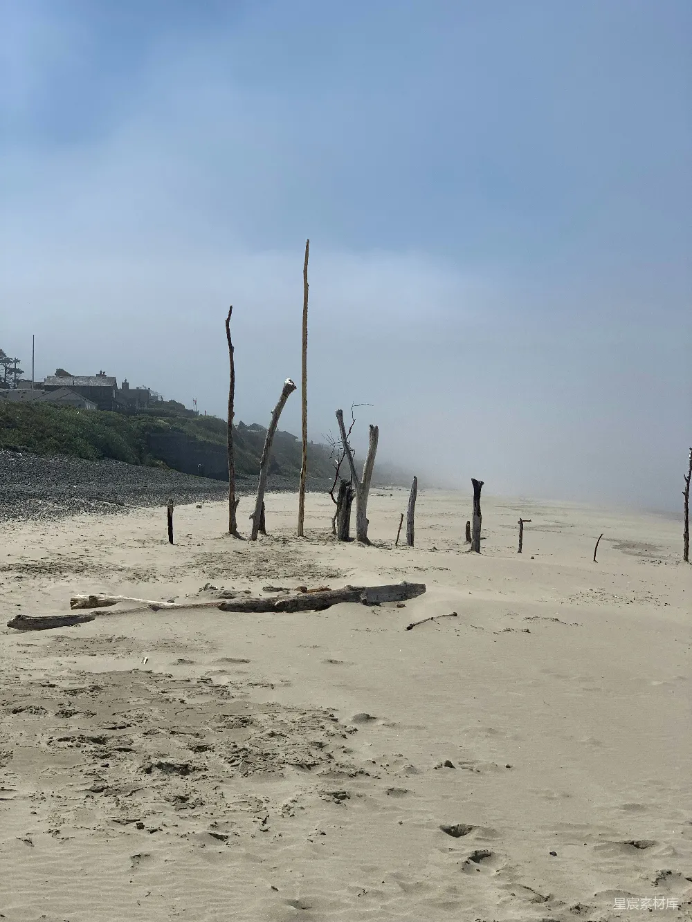 一片沙地上点缀着几棵树的海滩