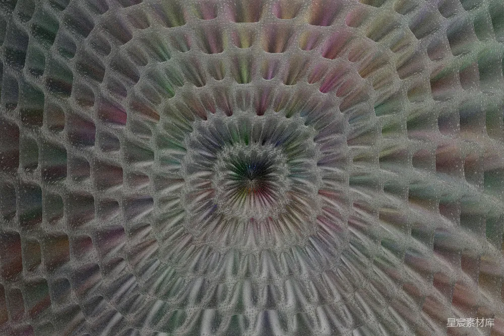 高清摄影  一朵花形物体的特写视图