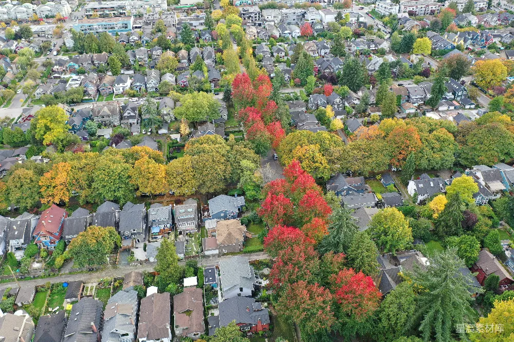 一个 neighborhood 的空中俯瞰图，有很多房子
