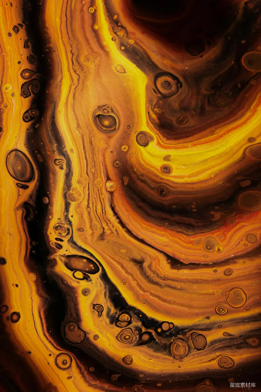 高清摄影  黄褐色抽象画