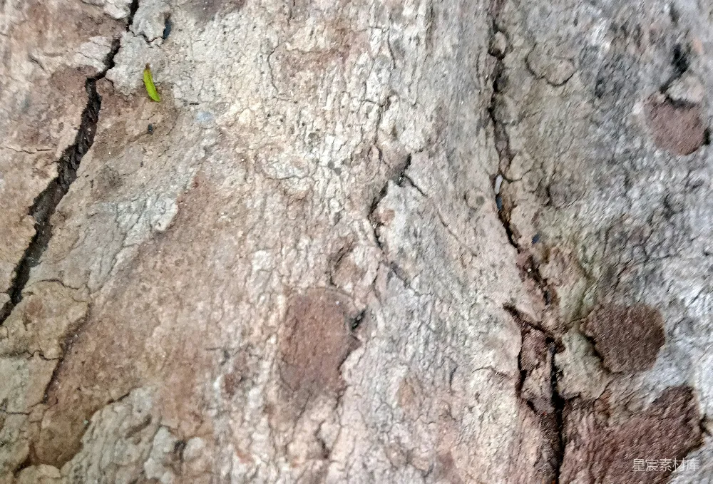 高清摄影  一张岩石的特写照片