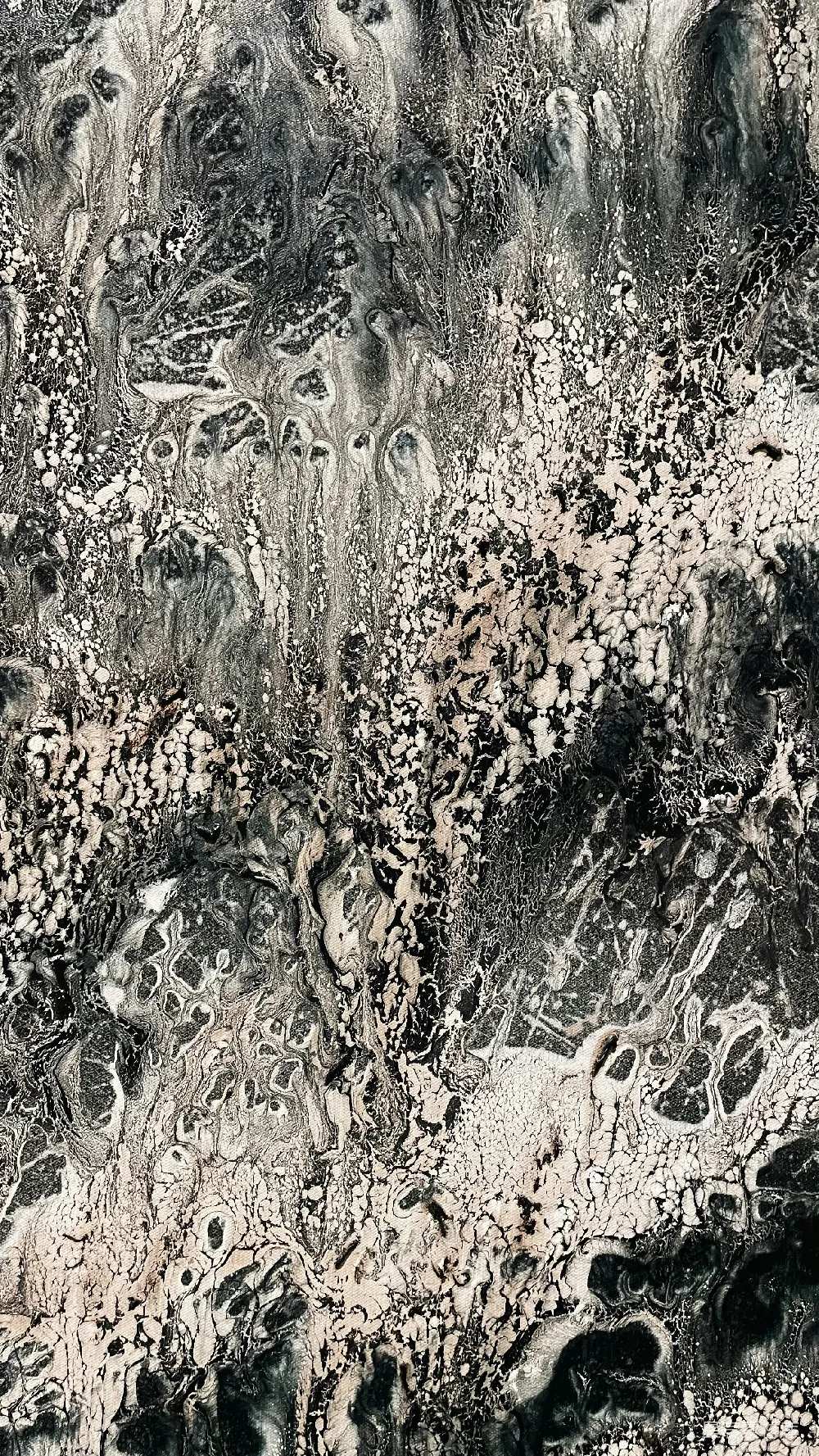 高清摄影  一张黑白照片，展示了一个岩石形成的景象。