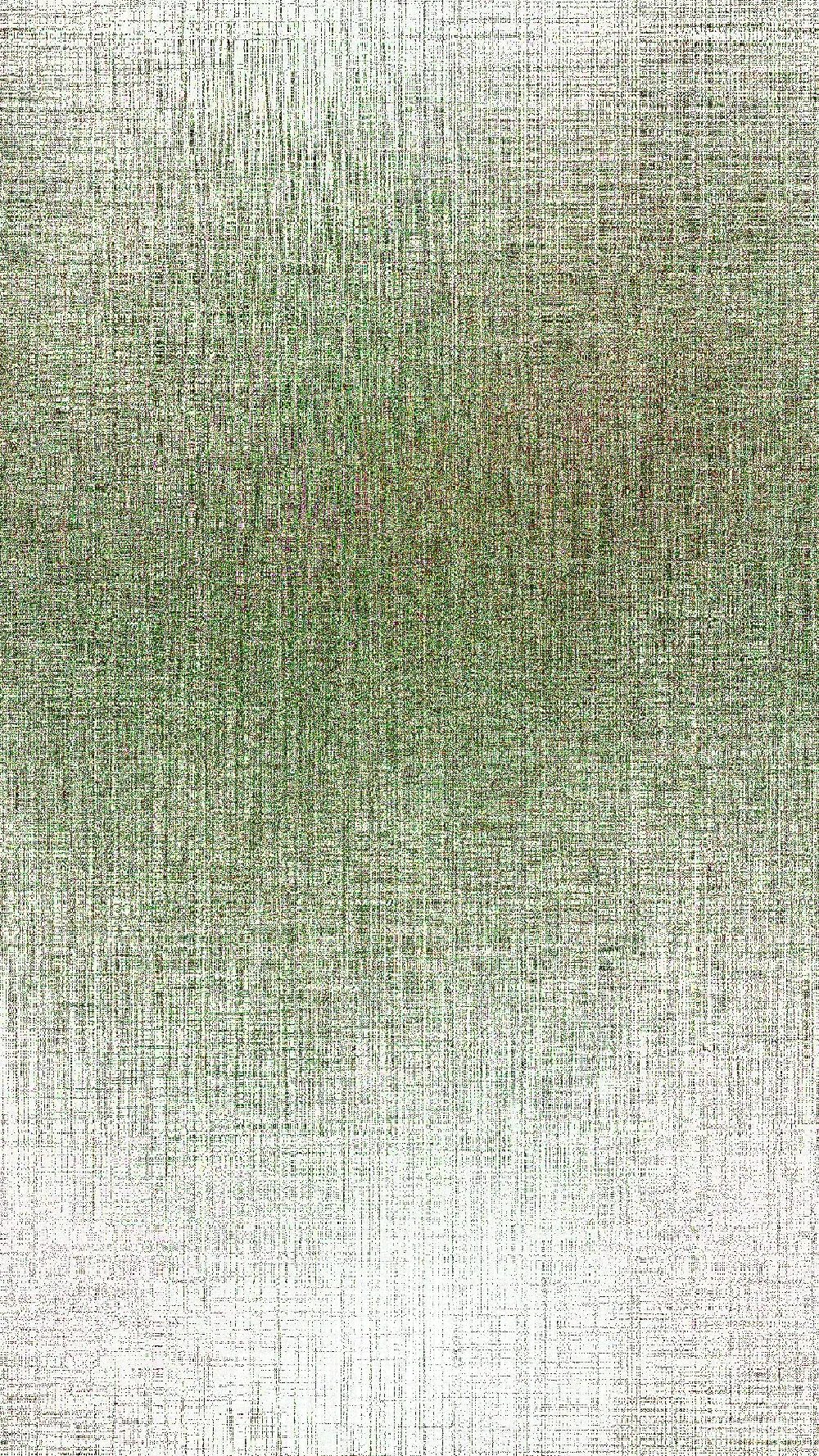 高清摄影  绿色和白色渐变的纹理背景。