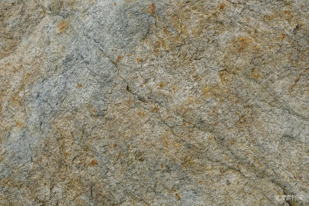 高清摄影  岩石特写，上面有一只鸟。