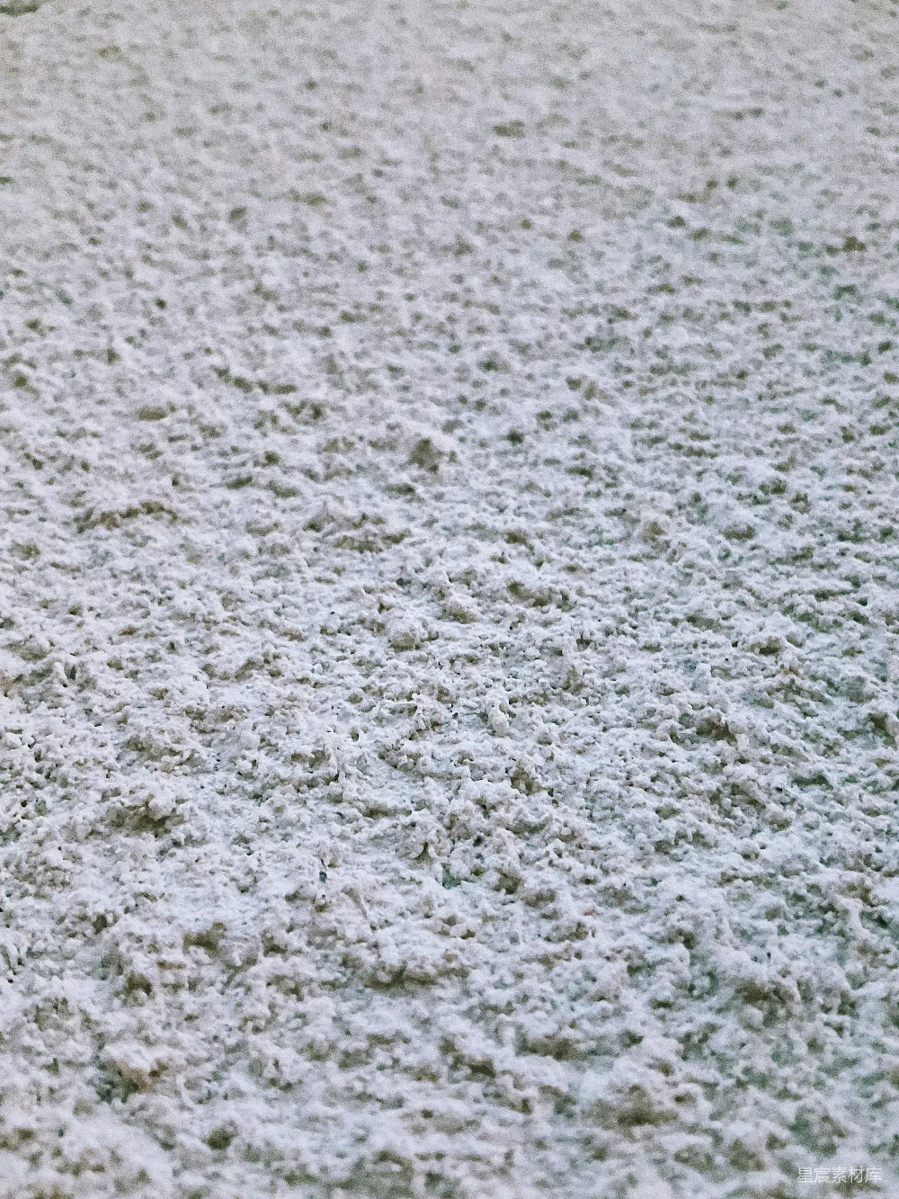 高清摄影  一只黑白相间的狗站在雪地里。