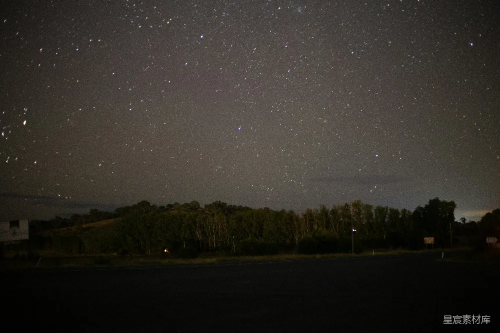 星夜下的绿树