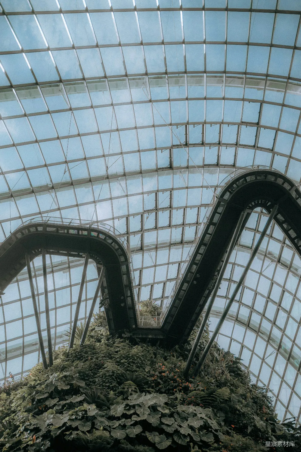 绿色植物放在白色金属框架上