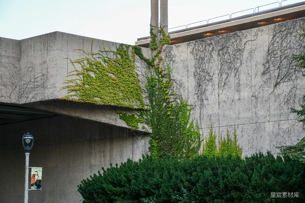 高清摄影  一座建筑物旁边长着植物的建筑