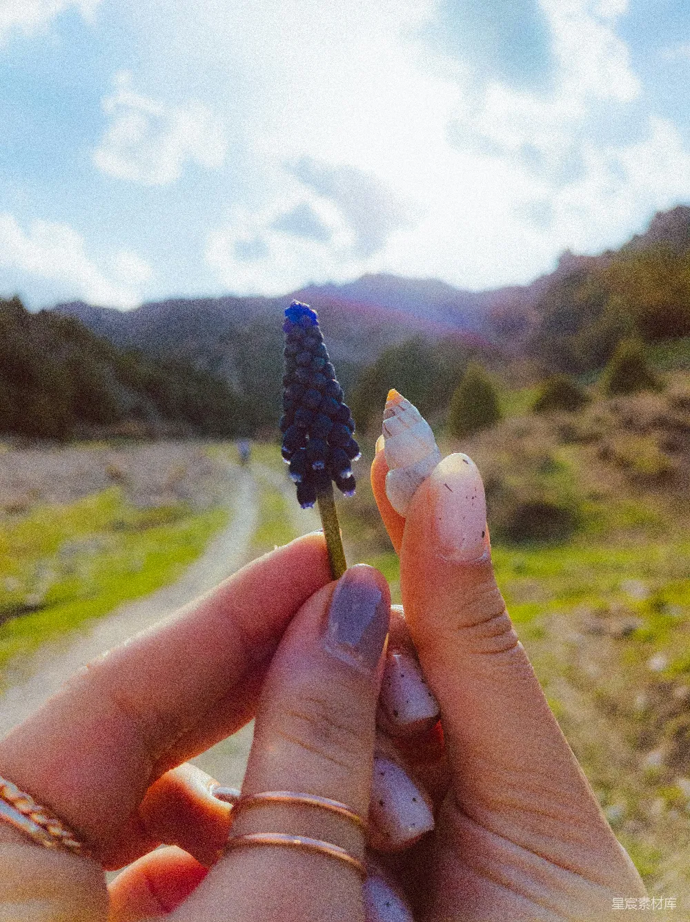 一个拿着小花的人