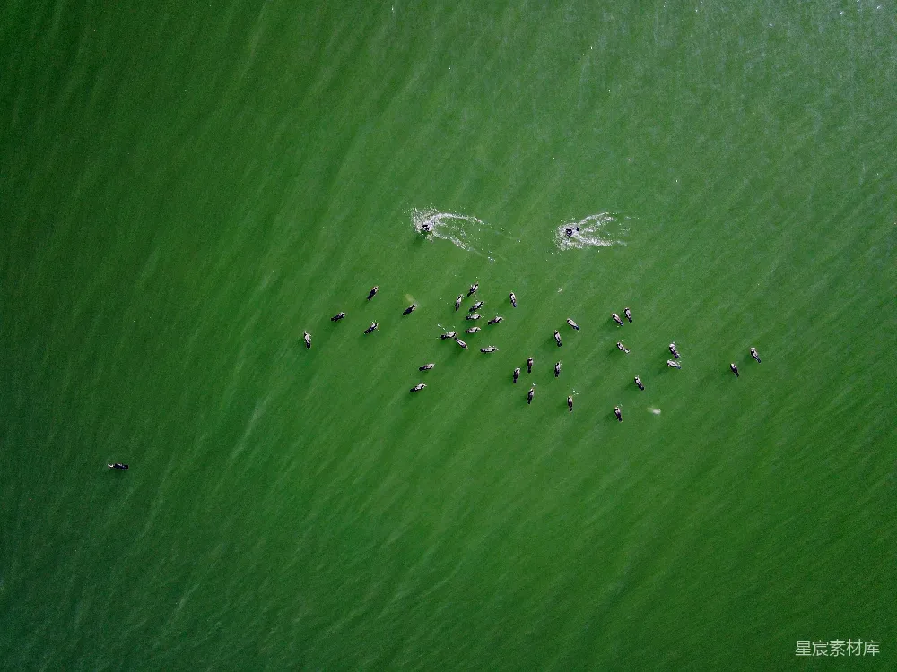 绿海的 aerial 拍摄