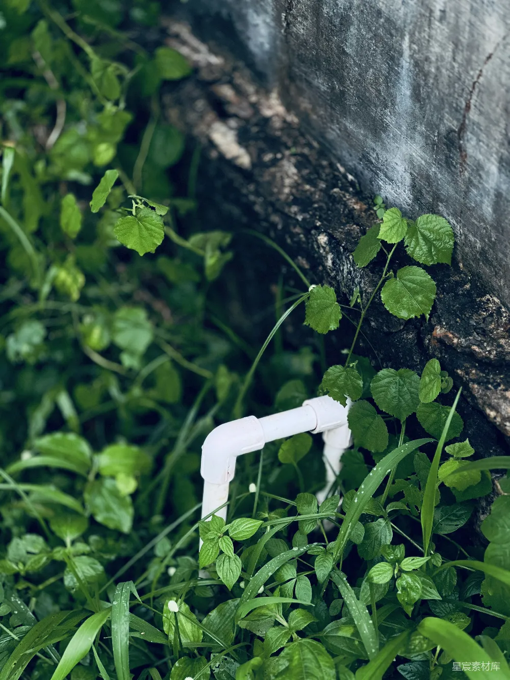 高清摄影  一个白色的物体坐在草地上。