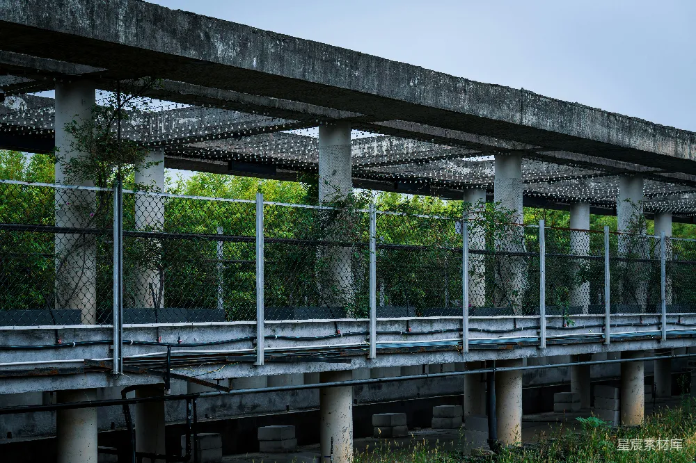 高清摄影  废弃的混凝土建筑，长满杂草。