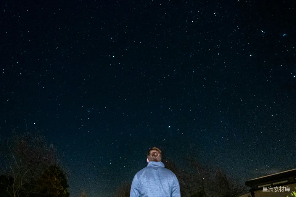 一个男人站在草地上仰望星空