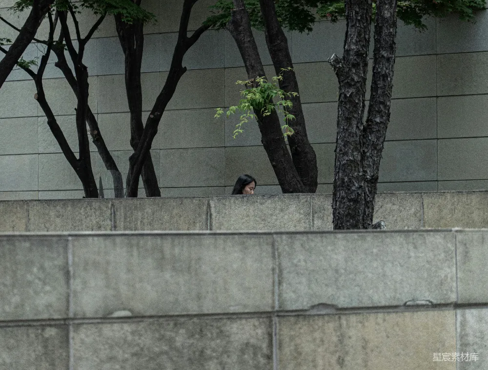 高清摄影  一个男人在树旁的人行道上行走。