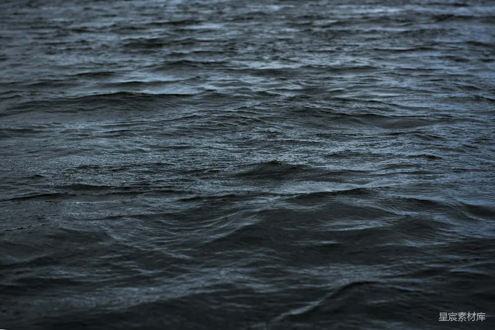 水域
