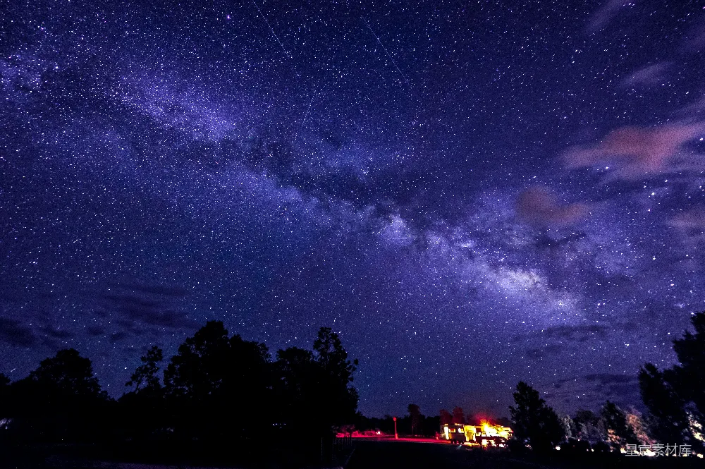 星空下树木与灯火辉煌的建筑