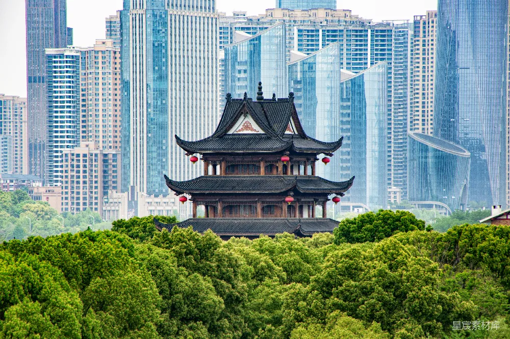 高清摄影  一栋高大的建筑矗立在森林中央