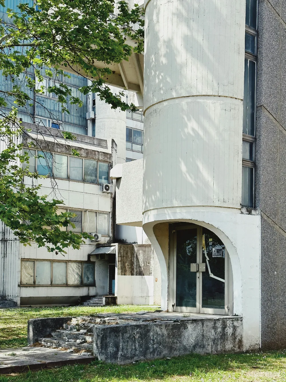 高清摄影  一座高大的白色建筑前有一棵树。
