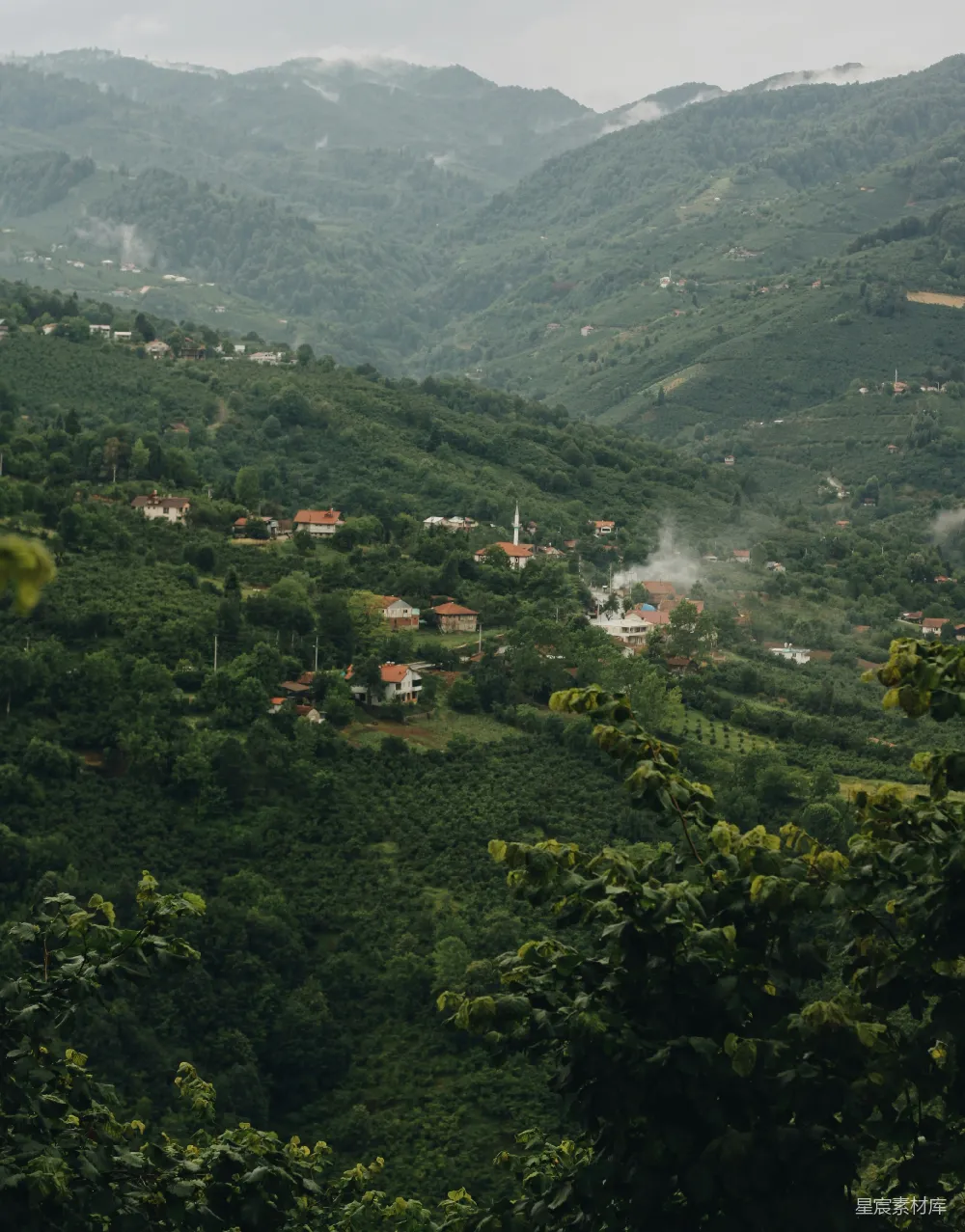 白天绿树与青山