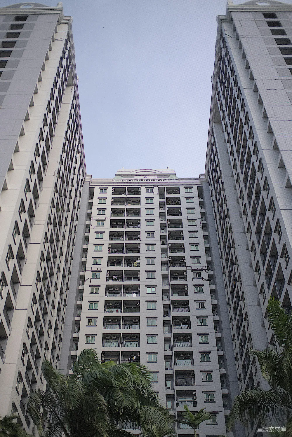 高清摄影  两座高楼前面有棕榈树。