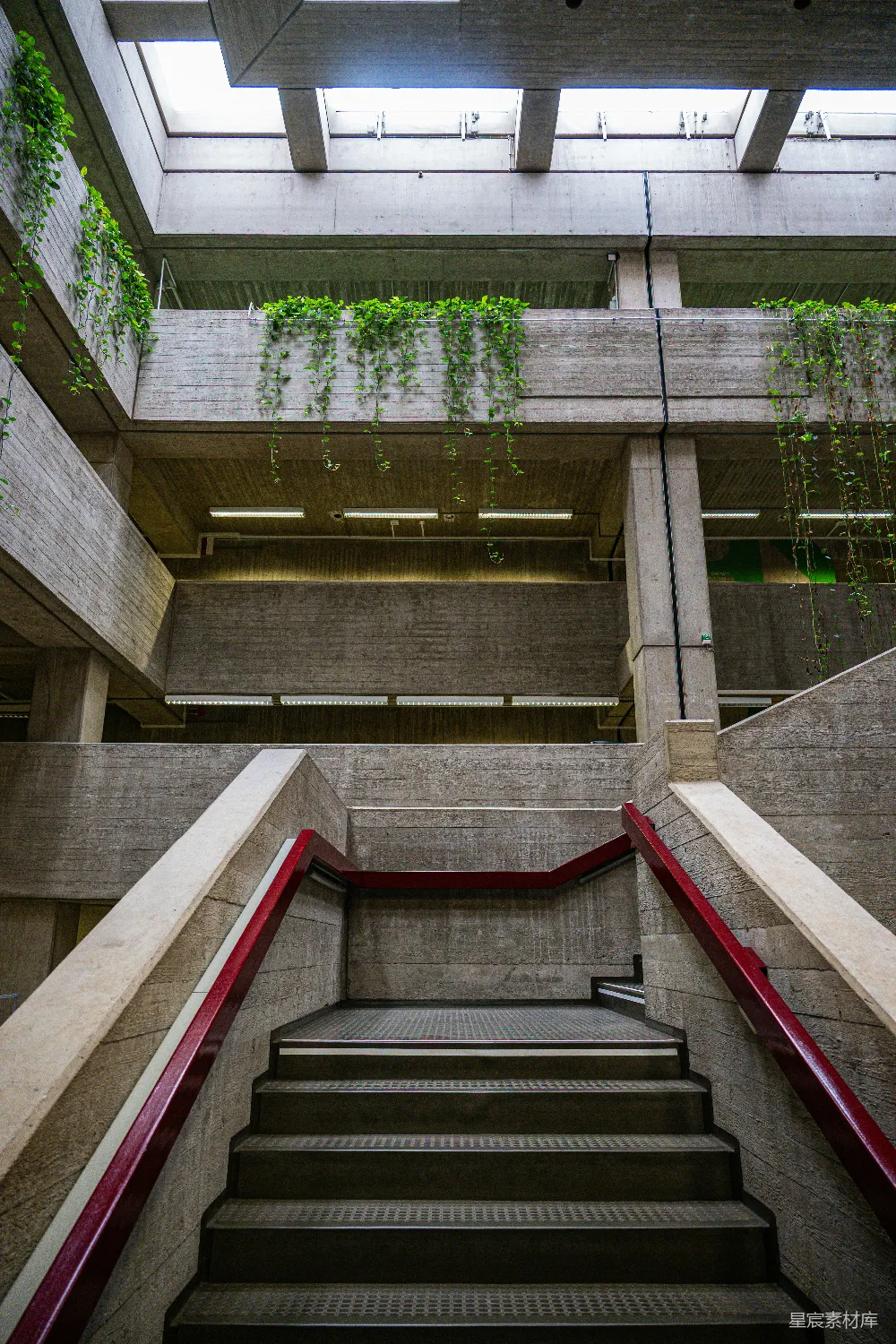 高清摄影  混凝土粗野主义建筑的内部，悬挂着植物。