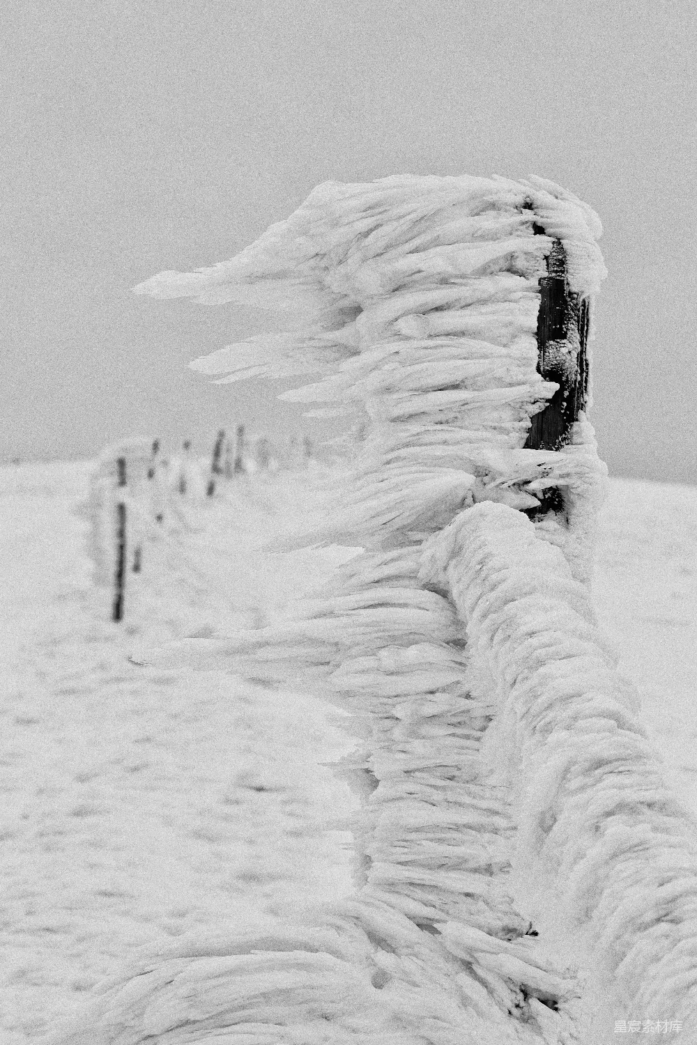 白天覆盖着白雪的田野