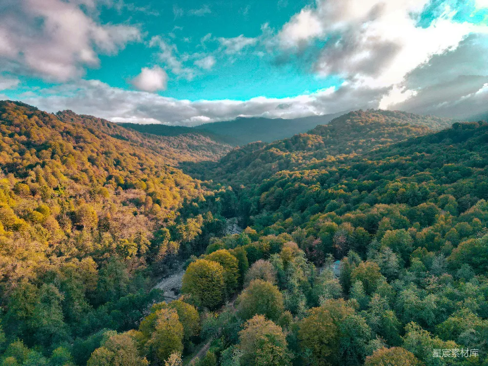 背景中有山的森林俯视图