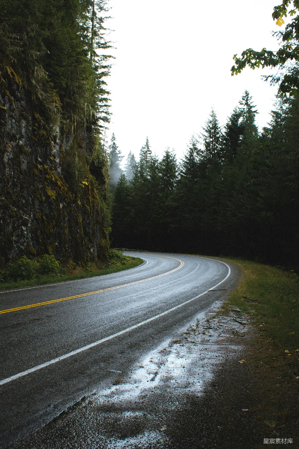 高清摄影  岩石墙和树木之间的弯曲沥青路