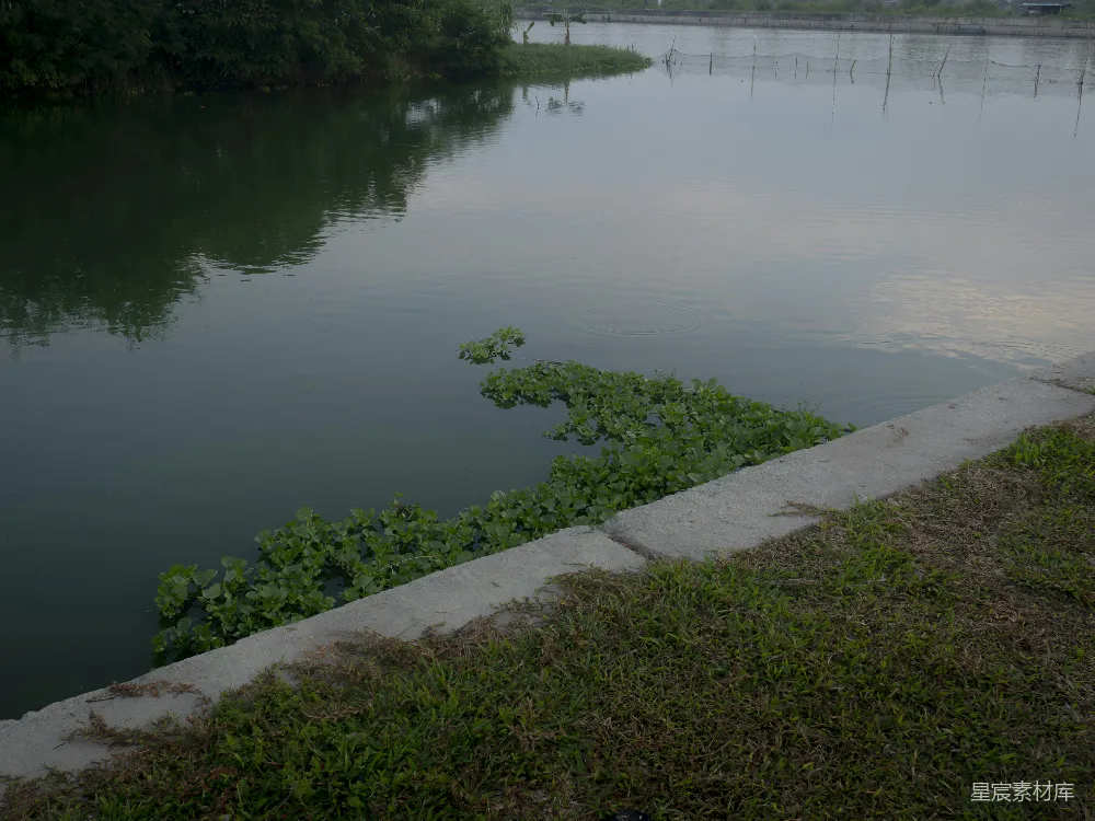 高清摄影  平静的水面，绿植和草地的河岸