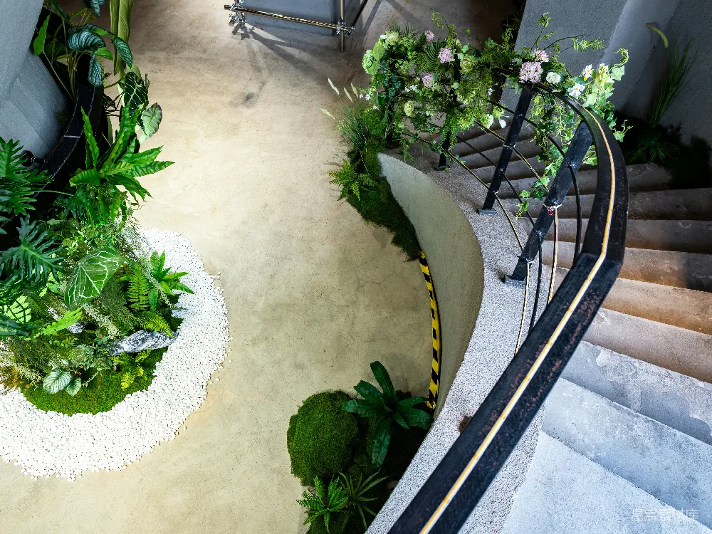 高清摄影  绿意盎然的植被与现代化建筑的混凝土楼梯