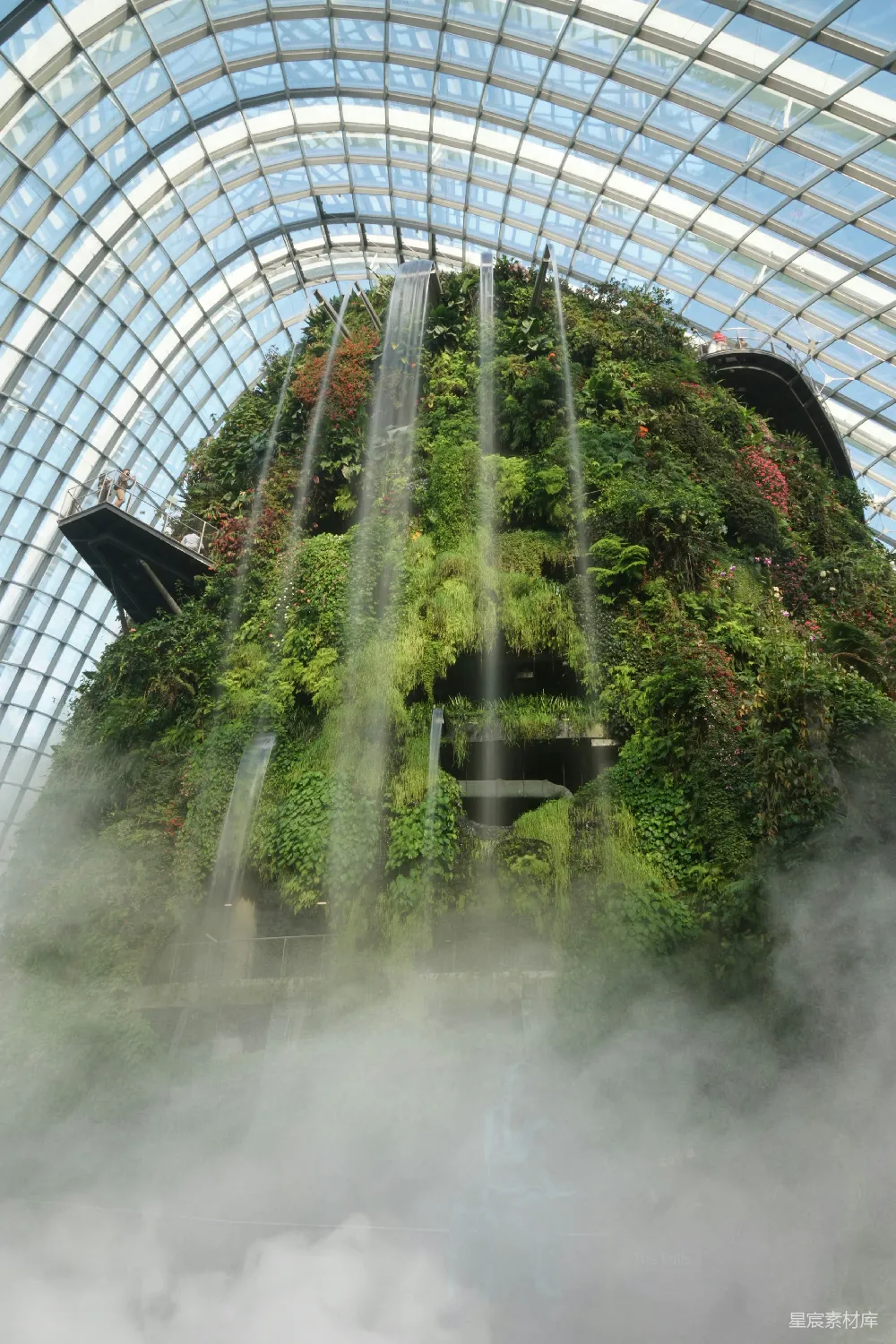 高清摄影  建筑物内的绿色植物