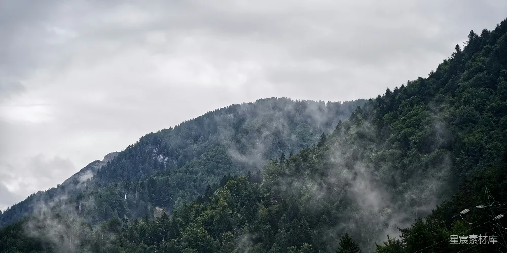 云雾覆盖下的森林遮蔽着一道陡峭的山脊，在阴沉的天空下。
