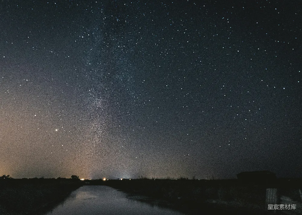 星夜下的树影轮廓