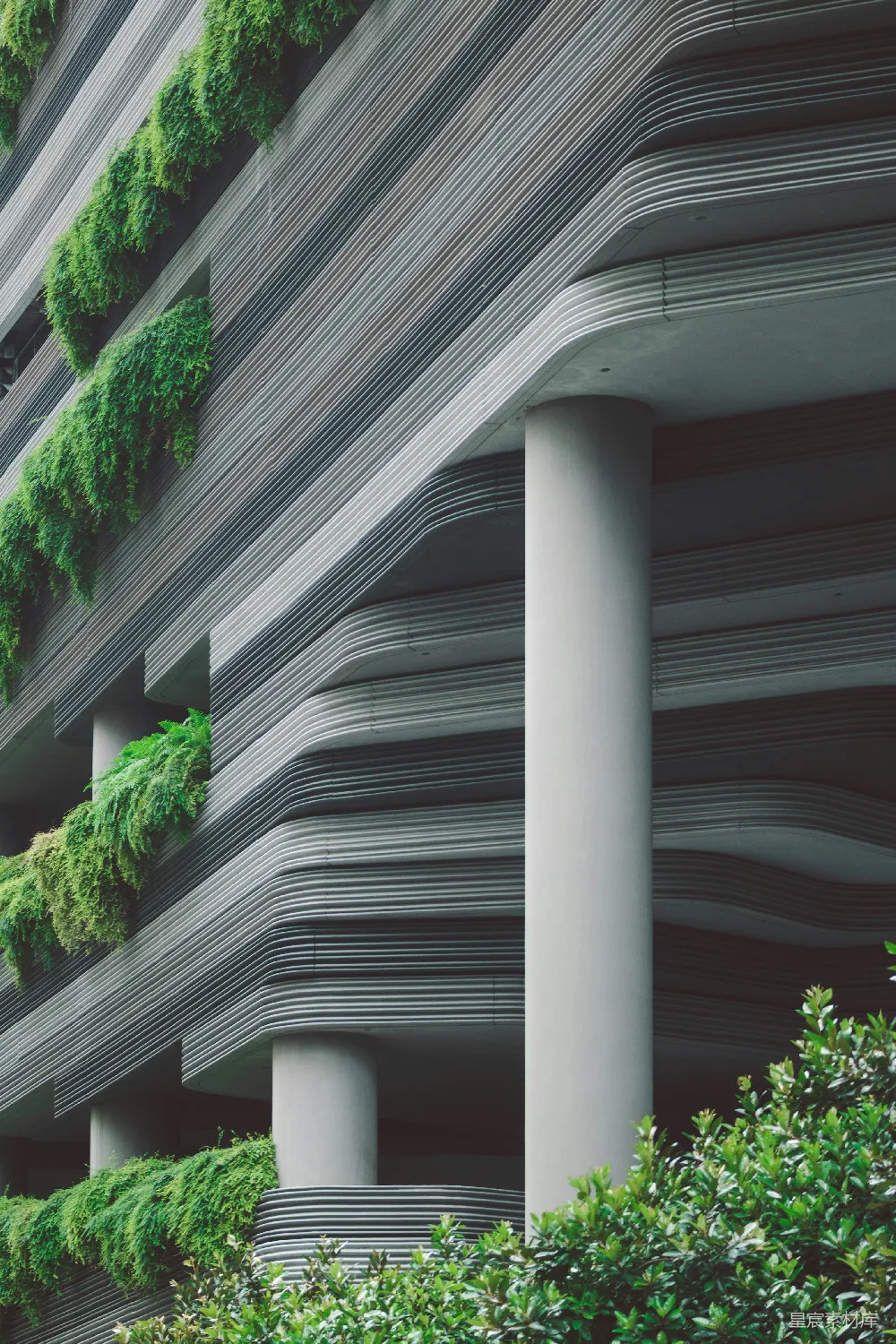 高清摄影  白色混凝土建筑上的绿色植物