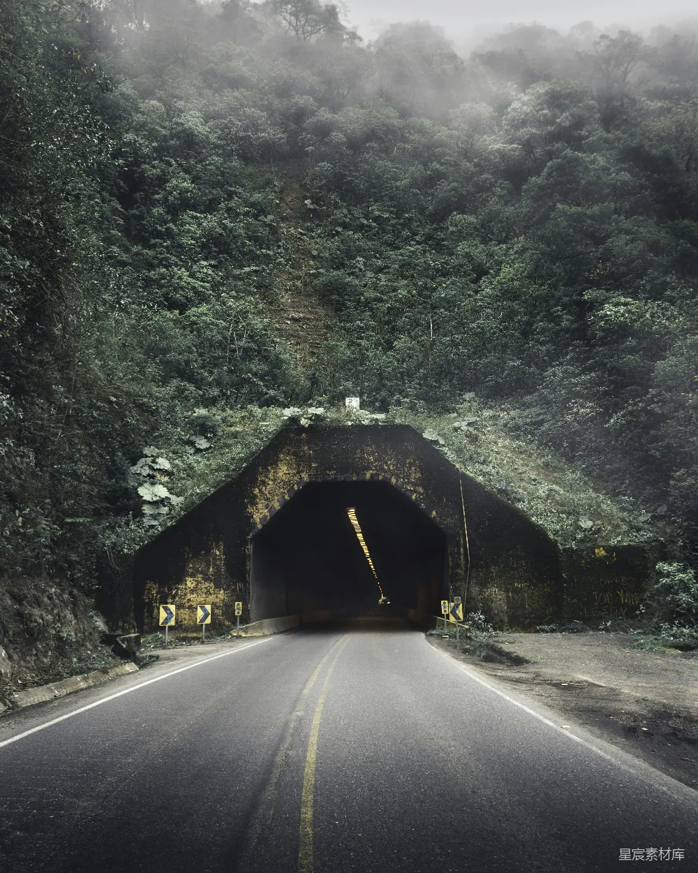 高清摄影  一条通向森林中部隧道的道路
