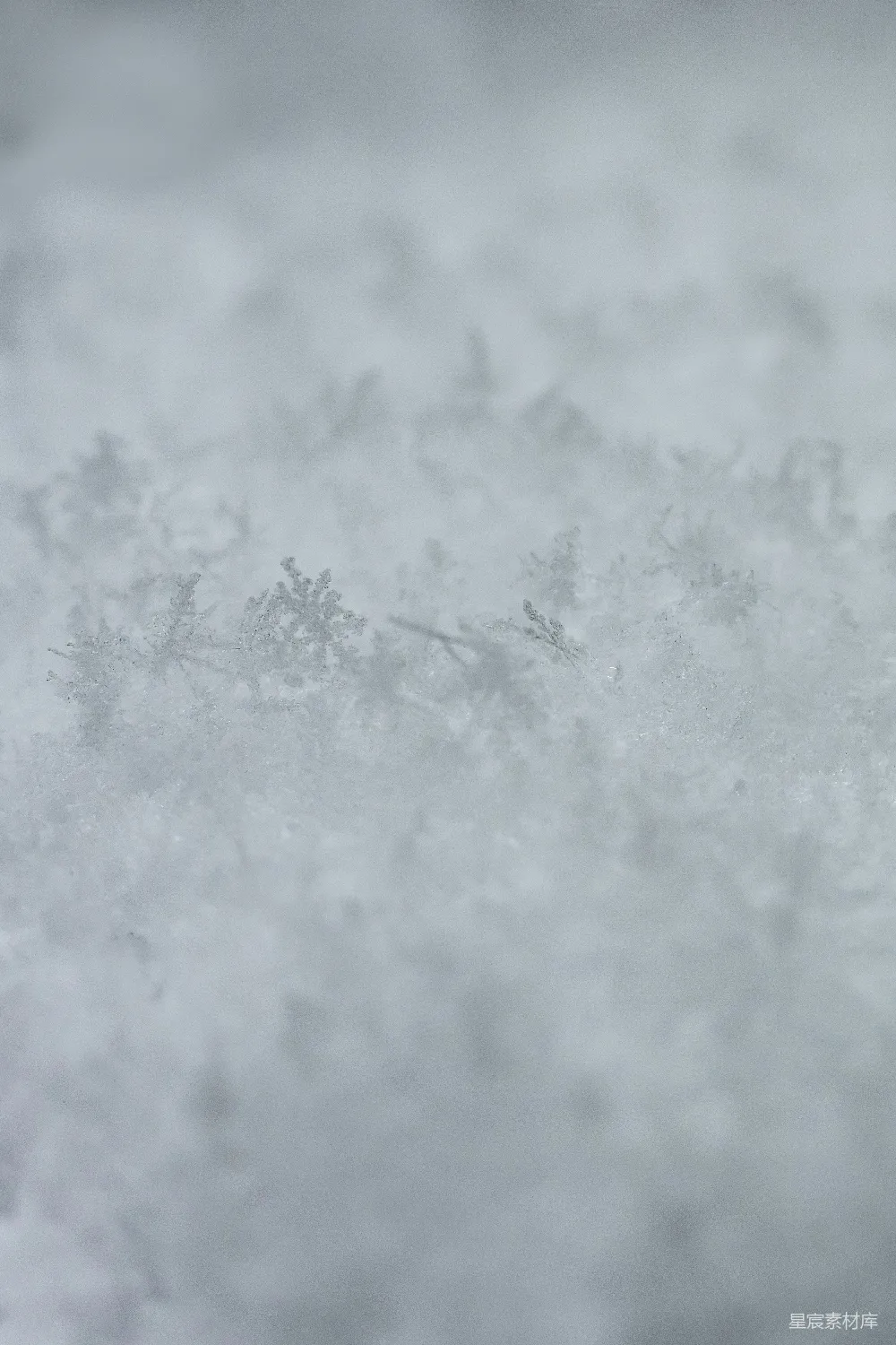 白天地面覆盖着白雪