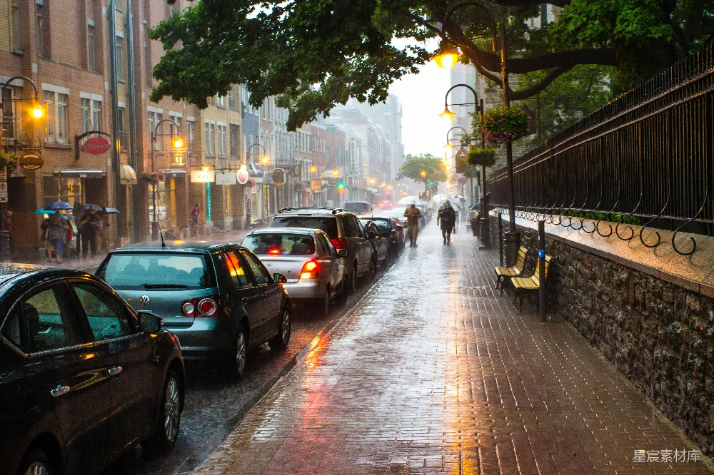 一排汽车停在街边