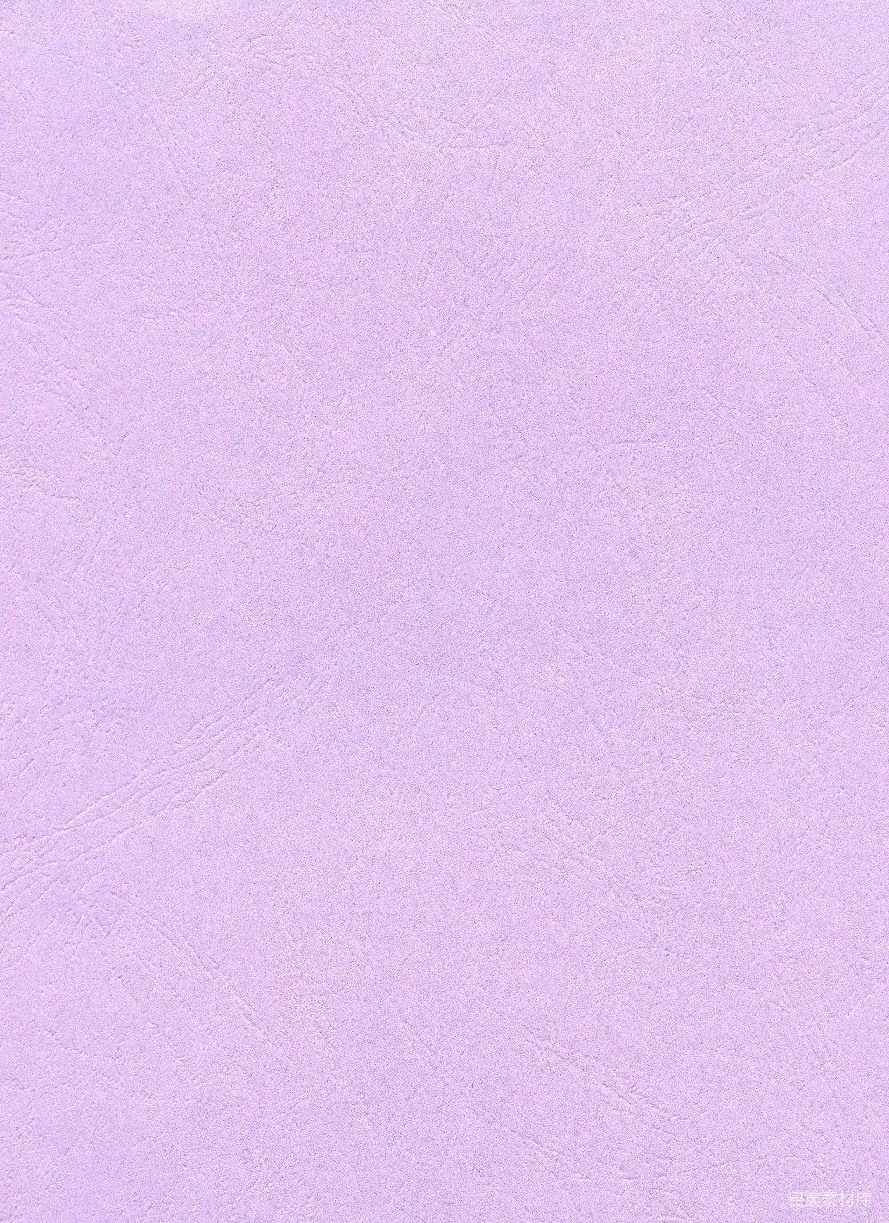 高清摄影  紫色背景带白色边框