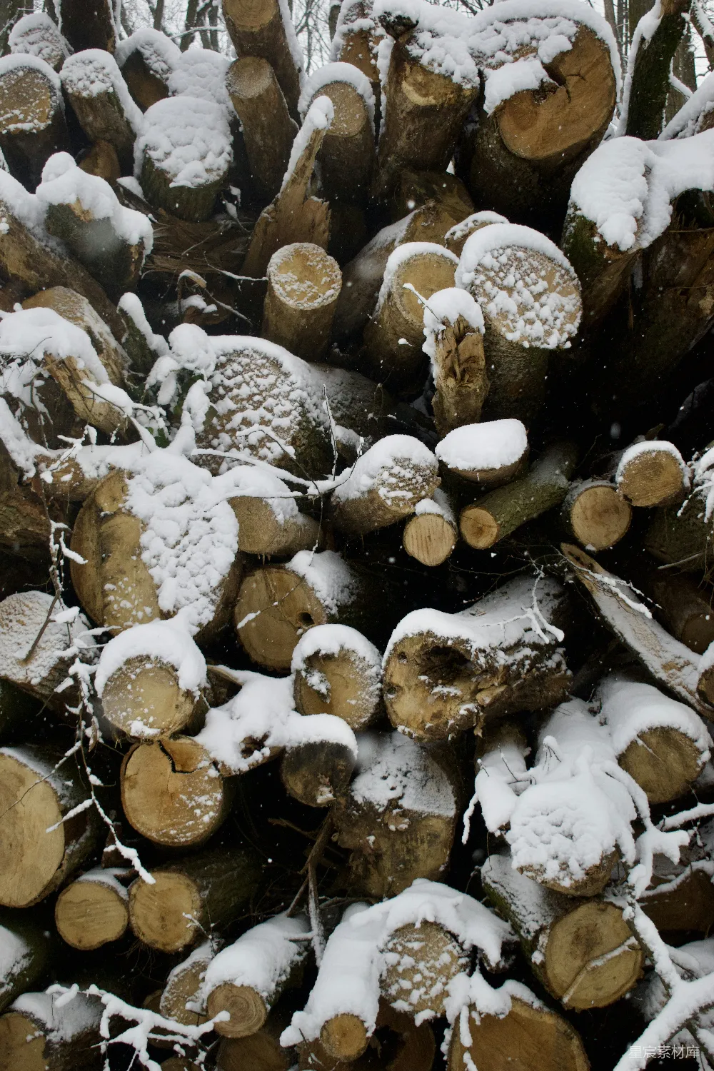 一垛堆满新鲜白雪的柴火