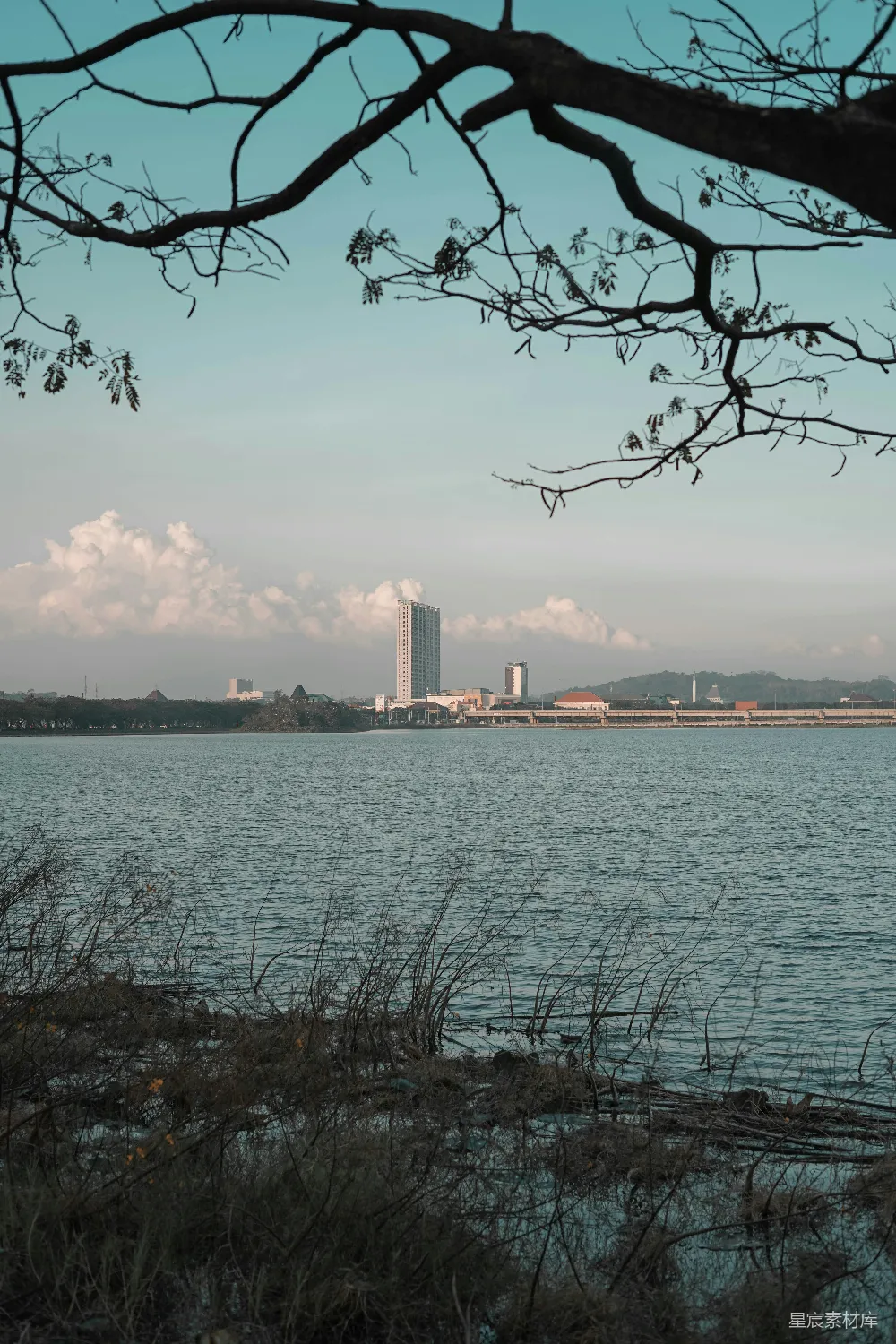 背景中有座城市的水域
