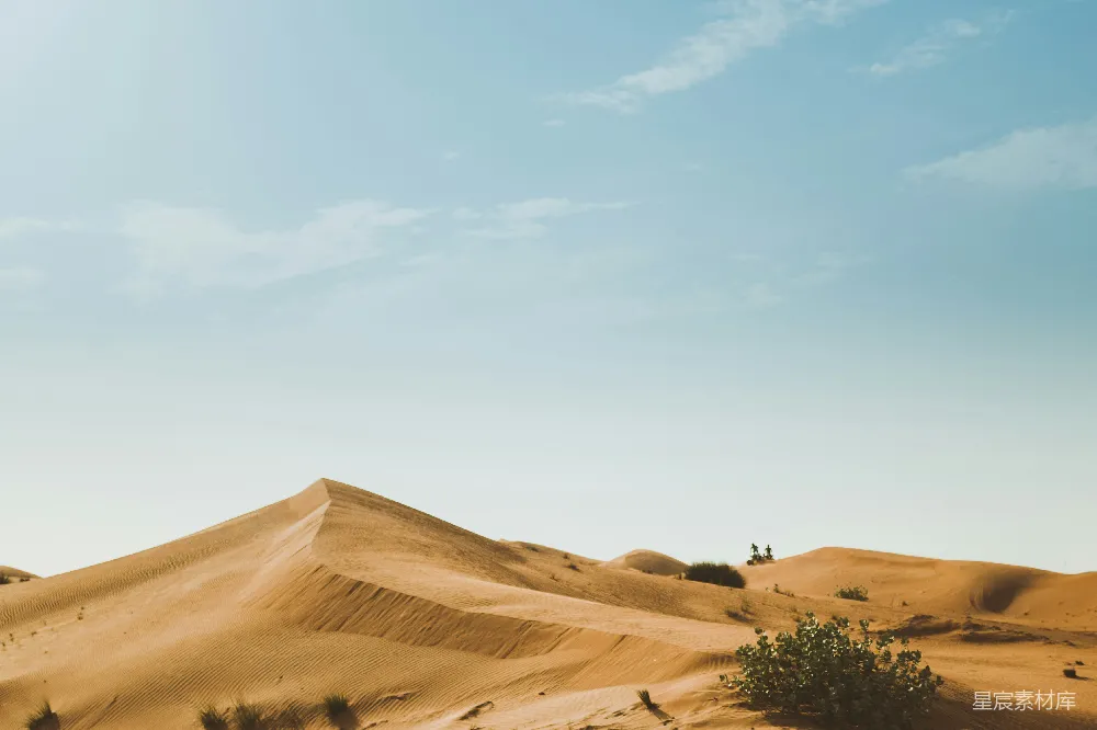 沙漠
