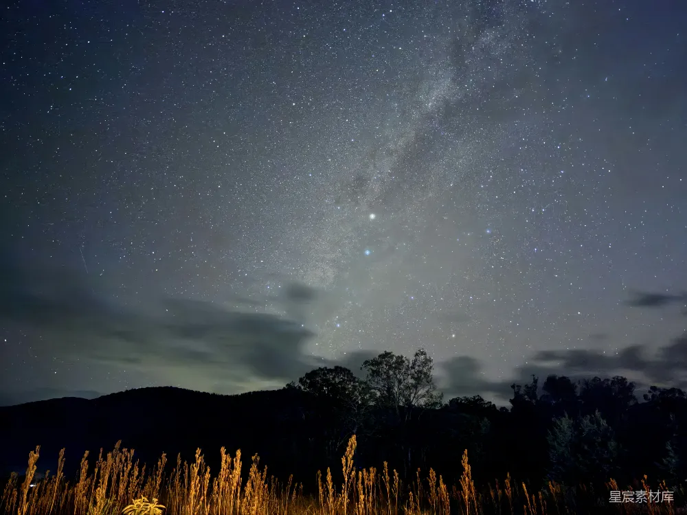 星空下的剪影树木和草地