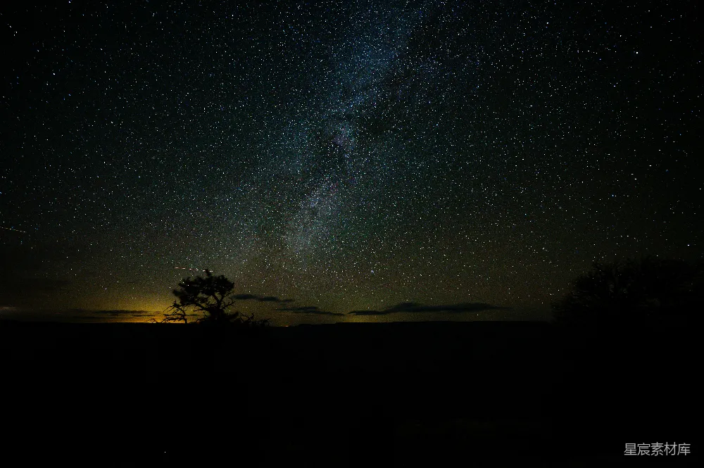 夜空满是星辰和一棵树