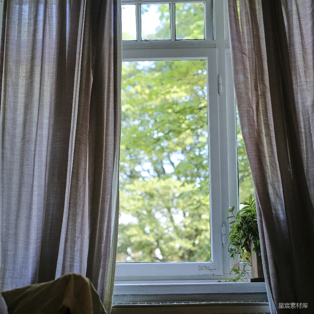 窗外一棵树的景象