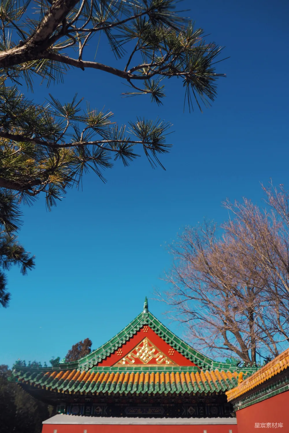 蓝天之下一片红顶建筑上覆盖着绿植