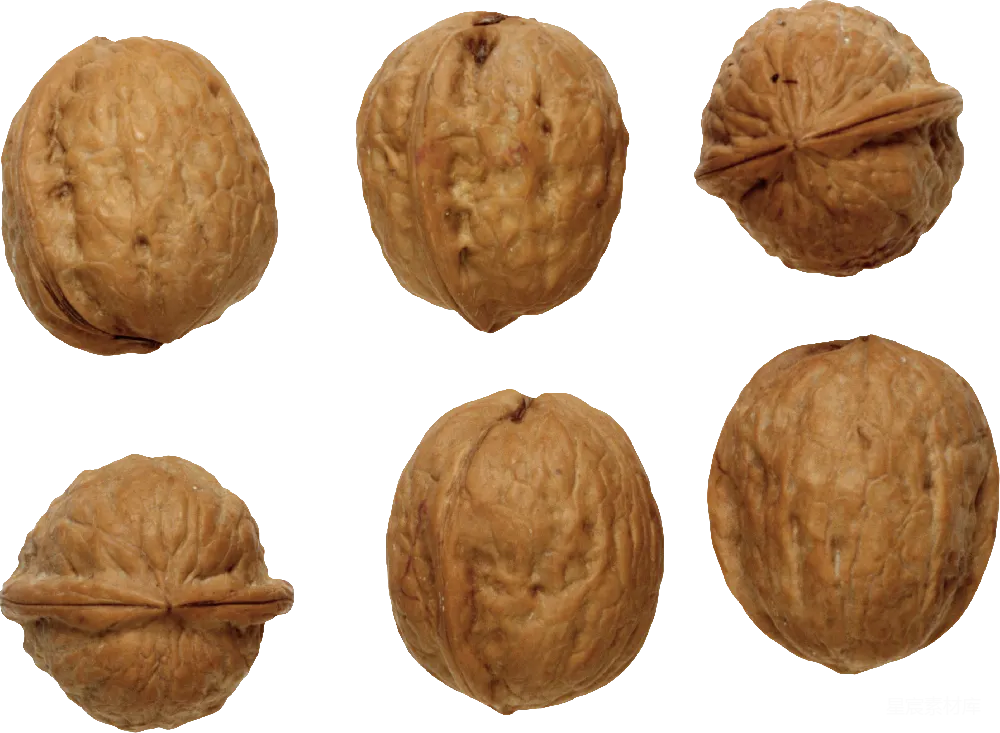 元素素材 核桃
