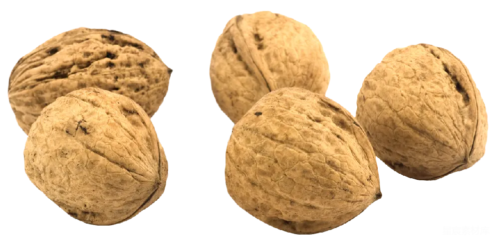元素素材 核桃